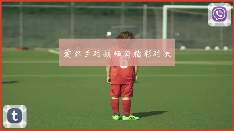 爱尔兰对战缅甸精彩对决 - 伟德体育官网