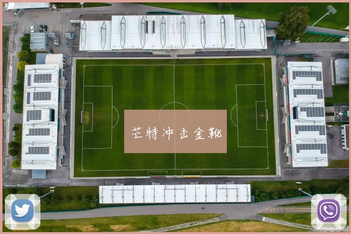 芒特冲击金靴 - 伟德体育官网
