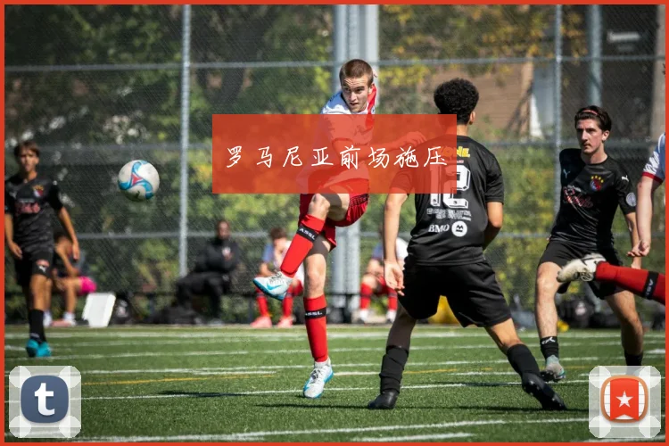 罗马尼亚前场施压 - 伟德体育官网