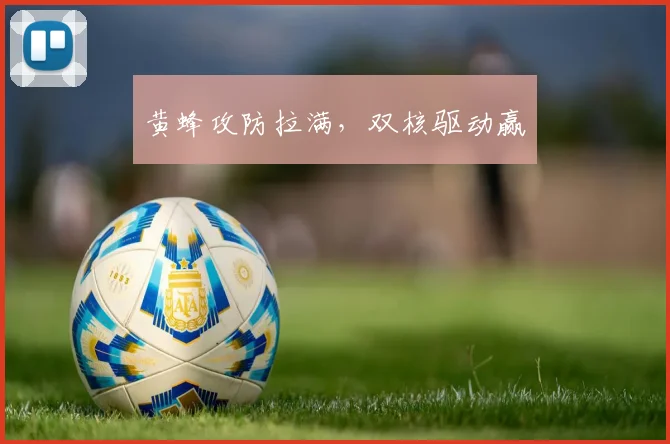 黄蜂攻防拉满，双核驱动赢 - 伟德体育官网