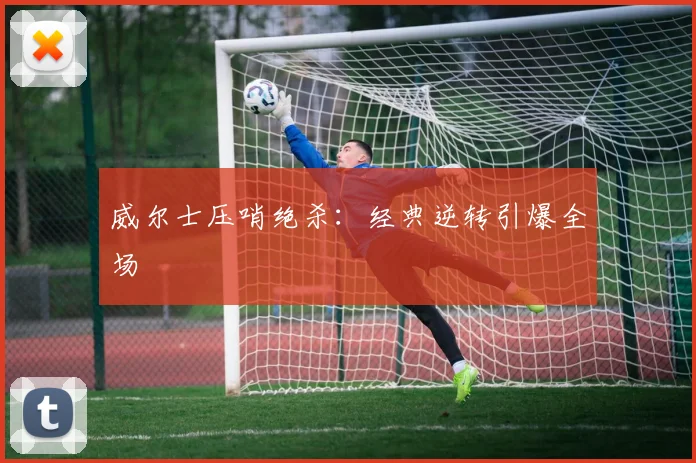 威尔士压哨绝杀：经典逆转引爆全场 - 伟德体育官网