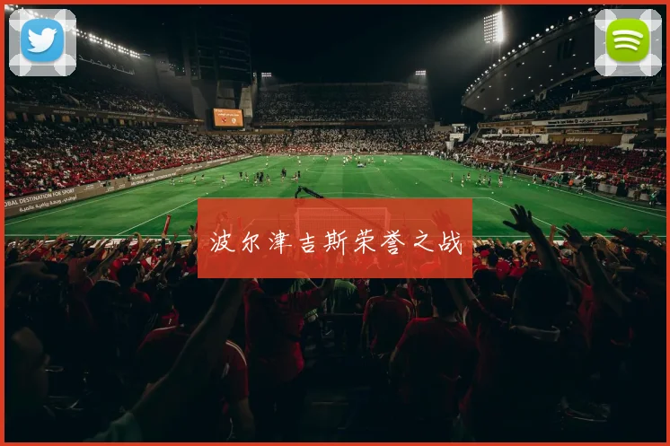 波尔津吉斯荣誉之战 - 伟德体育官网