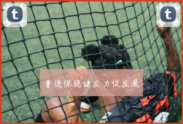鲁德保稳健发力促发展 - 伟德体育官网