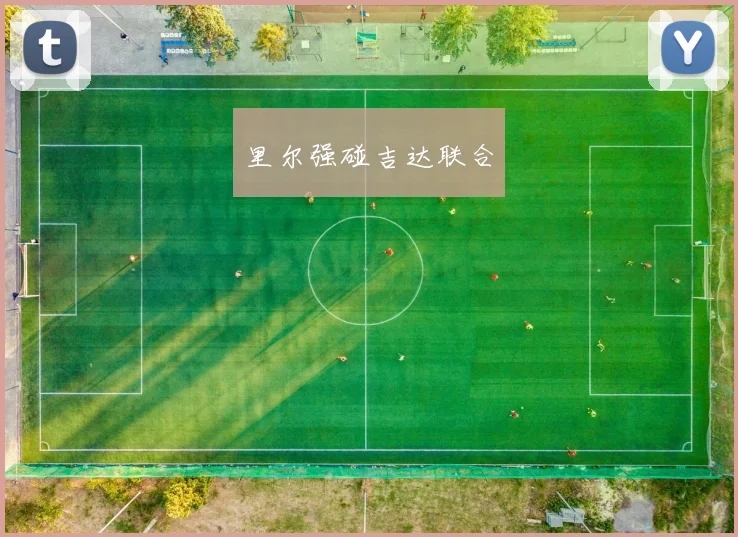 里尔强碰吉达联合 - 伟德体育官网