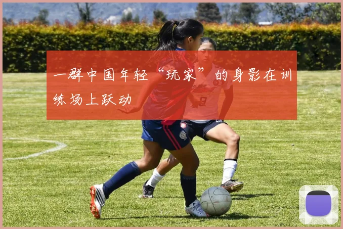 一群中国年轻“玩家”的身影在训练场上跃动 - 伟德体育官网