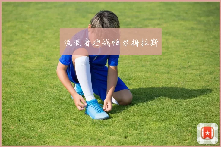 流浪者迎战帕尔梅拉斯 - 伟德体育官网