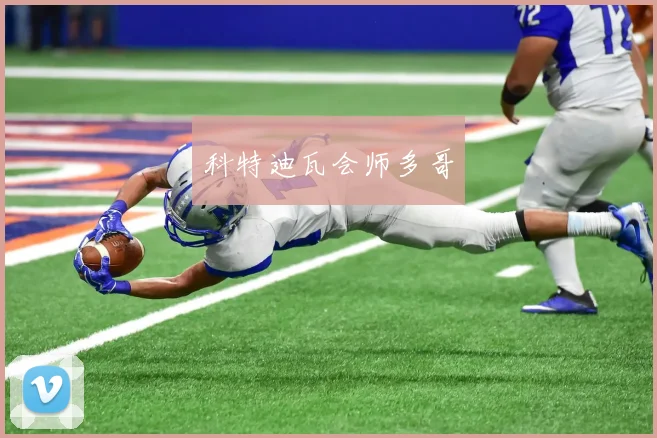 科特迪瓦会师多哥 - 伟德体育官网