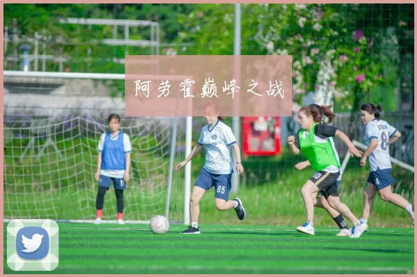 阿劳霍巅峰之战 - 伟德体育官网
