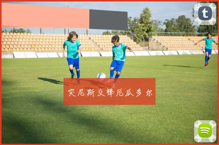 突尼斯交锋厄瓜多尔 - 伟德体育官网