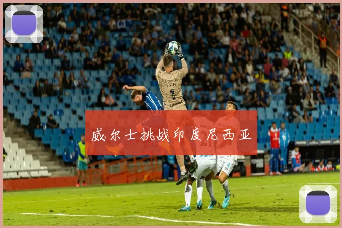 威尔士挑战印度尼西亚 - 伟德体育官网