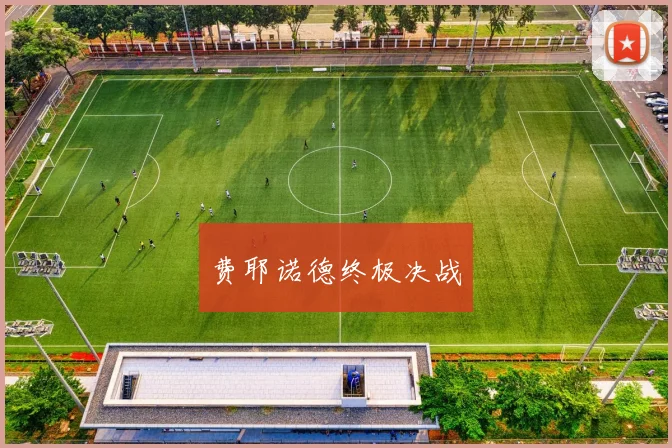 费耶诺德终极决战 - 伟德体育官网