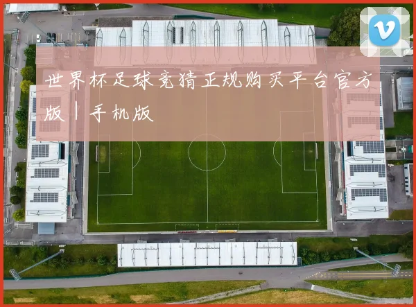 世界杯足球竞猜正规购买平台官方版｜手机版 - 伟德体育官网