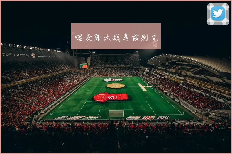 喀麦隆大战乌兹别克 - 伟德体育官网