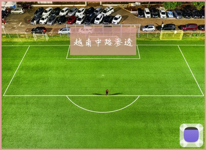 越南中路渗透 - 伟德体育官网