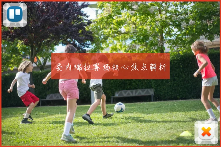 委内瑞拉赛场核心焦点解析 - 伟德体育官网