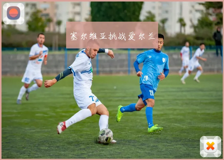 塞尔维亚挑战爱尔兰 - 伟德体育官网
