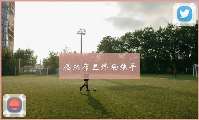 格纳布里终场绝平 - 伟德体育官网