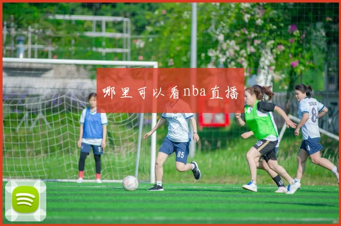 哪里可以看nba直播