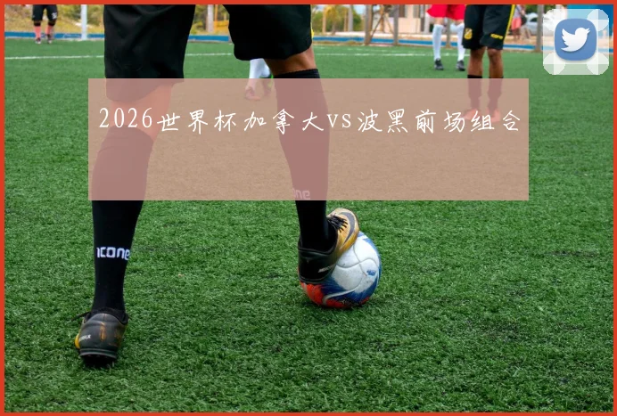 2026世界杯加拿大vs波黑前场组合
