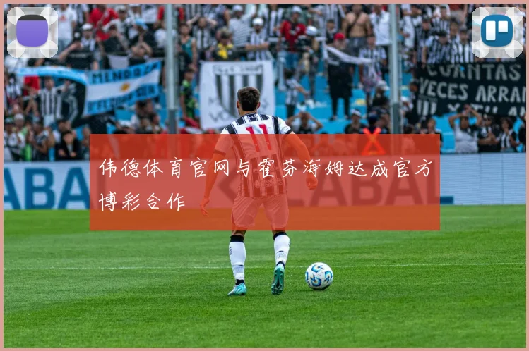 伟德体育官网与霍芬海姆达成官方博彩合作