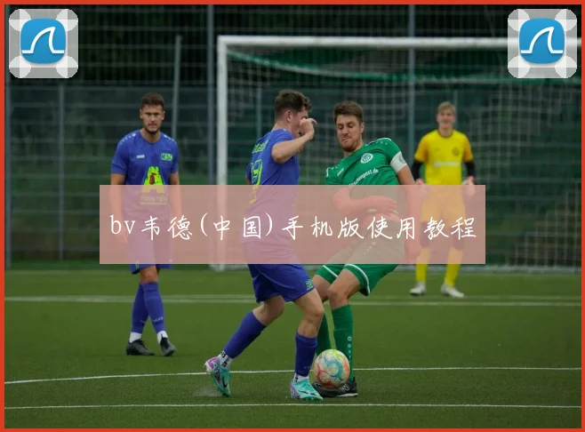 bv韦德(中国)手机版使用教程